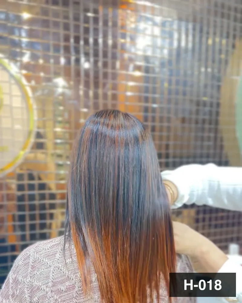 Long hair with copper ends brushed straight, seen from behind at Salon By Babita, Haldwani — reference H-018