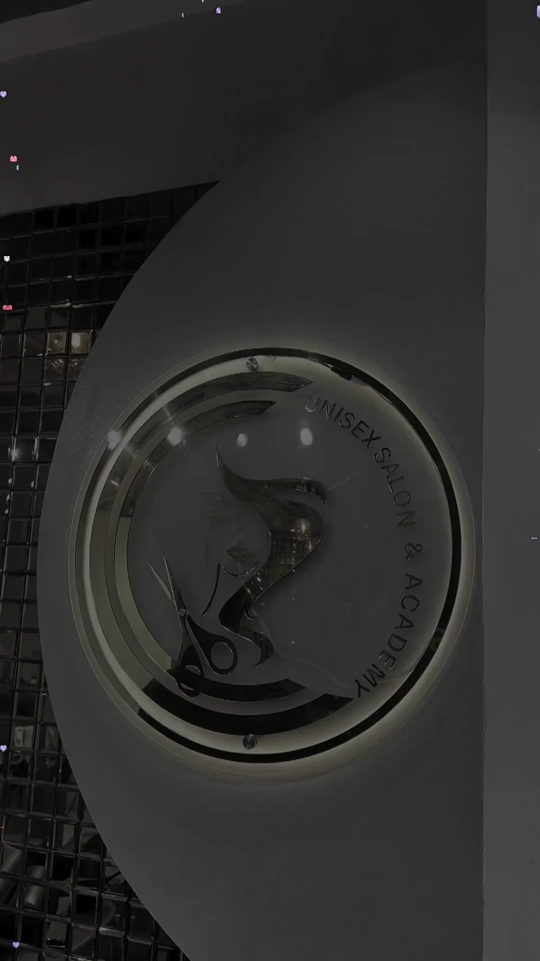 The Salon By Babita unisex salon and academy emblem mounted on the reception wall